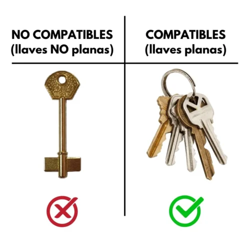 Llavero Ragnak llaves compatibles